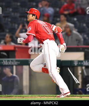 Shohei Ohtani (L) of the Los Angeles Angels has a home run celebration  helmet placed on his head during the 12th inning of a baseball game against  the Texas Rangers at Globe