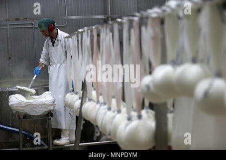 (180519) -- CORINTH, May 19, 2018 (Xinhua) -- A man works at a cheese factory in Kalliani village of Corinth, some about 70 Km west of Athens, Greece, on May 16, 2018. In the highlands of Corinth prefecture at the Peloponnese peninsula, just two hours from Athens, local agricultural small businesses turn to extroversion to survive the economic crisis. To go with Feature: Greek agricultural community more extrovert in seeking business opportunities. (Xinhua/Marios Lolos) (dtf) Stock Photo