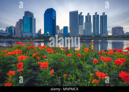 Lake Ratchada situated in the Benjakitti Park with flowers in the foreground and modern high rise buildings in the background in midtown Bangkok, Thailand. Stock Photo