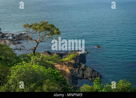 Beautiful view from Cabo de Rama fort. A tree standing tall on the rocks. Stock Photo