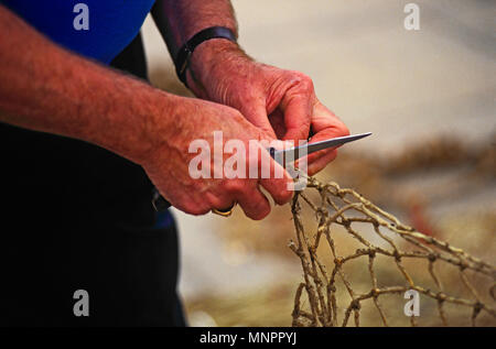 HANDS OF A FISHERMAN REPAIRING FISHING NETS. HONFLEUR, NORMANDY, FRANCE, JUNE 2014. The hands of a local fisherman repairing his fishing nets on the Q Stock Photo