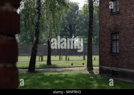 Inside the barbed wire fence at the Nazi Concentration Camp Auschwitz Stock Photo