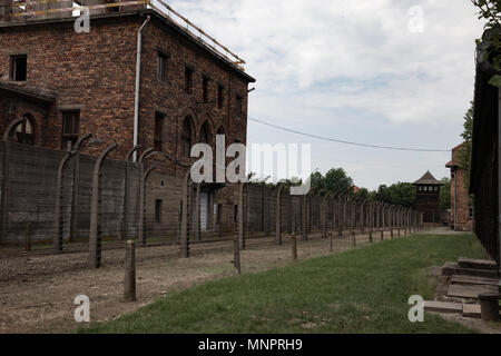 Inside the barbed wire fence at the Nazi Concentration Camp Auschwitz Stock Photo