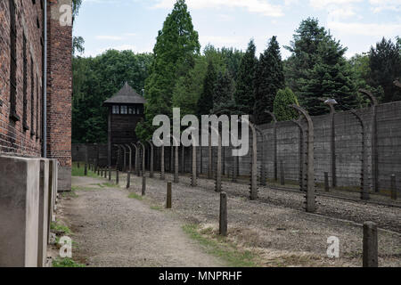 Inside the barbed wire fence at the Nazi Concentration Camp Auschwitz Stock Photo