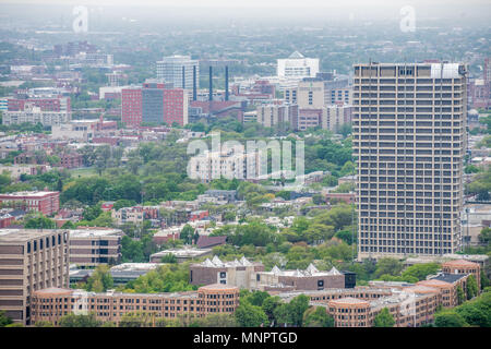 Aerial view of Little Italy neighborhood and the University of Illinois at Chicago Stock Photo