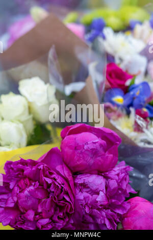 beautiful freshly cut flowers displayed on a florists stall at a street market. summer blooms and blossoms with colourful flowers and petals. bunches. Stock Photo
