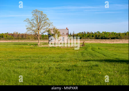 Traditional log home in meadow Stock Photo