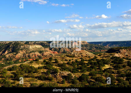 Wide open landscape, Palo Duro Canyon State Park, Texas, USA Stock Photo