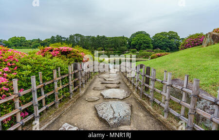 Beautiful Japanese garden Stock Photo