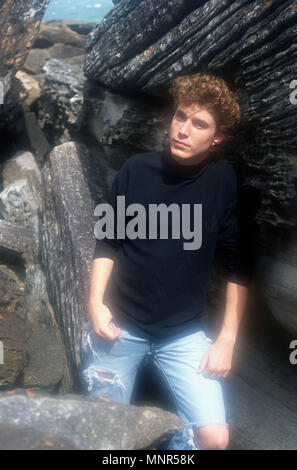 SYDNEY, AUSTRALIA - NOVEMBER 9: (EXCLUSIVE) Actor Jaason Simmons poses during a photo shoot on November 9, 1990 in Sydney, Australia. Photo by Barry King/Alamy Stock Photo Stock Photo