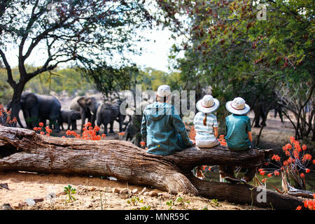 Family of father and kids on African safari vacation enjoying wildlife viewing at watering hole Stock Photo