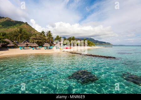 Beautiful beach on Moorea island in French Polynesia Stock Photo