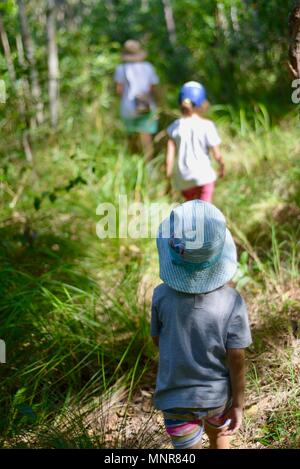 A mother and children walk through a forest, Rollingstone QLD, Australia Stock Photo