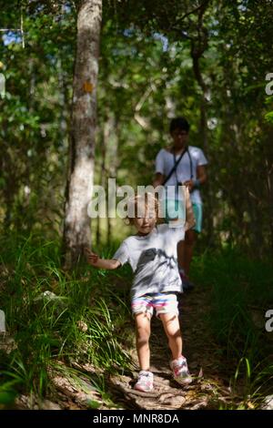 A mother and children walk through a forest, Rollingstone QLD, Australia Stock Photo