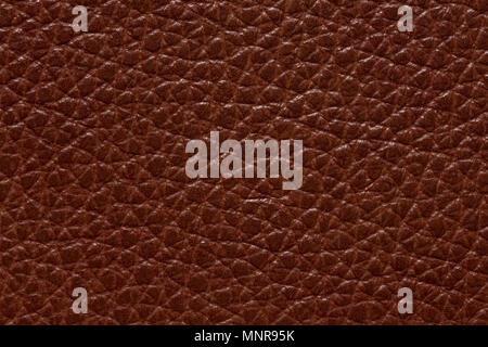 Expensive leather texture in ideal brown tone. Stock Photo