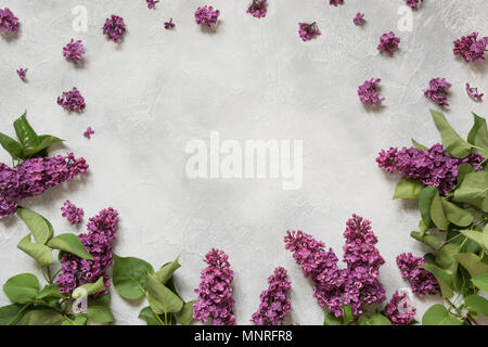 Frame of purple lilac flowers with space for text. Top view. Spring concept. Stock Photo