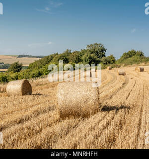 Late summer in the South Downs National Park, West Sussex, UK. Stock Photo