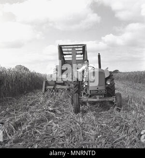 1960s, historical picture of a male farmer on his tractor harvesting a crop of wheat. In this era, many farmers used separate tractor mounted crop harvesters, England, UK. Stock Photo