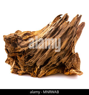 Piece of well worn driftwood on a white background Stock Photo
