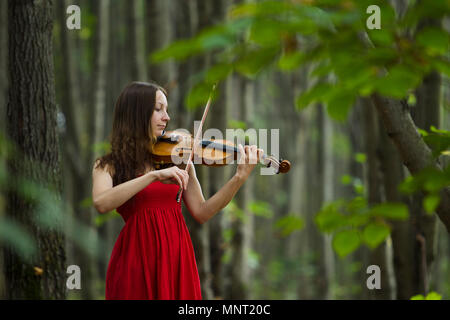 Girl in a red dress playing the violin in the woods, soft light Stock Photo