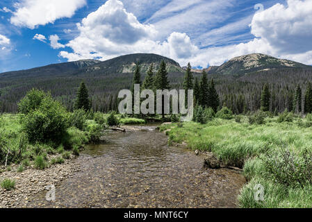 Mountain stream, Rocky Mountain National Park, Colorado, USA. Stock Photo