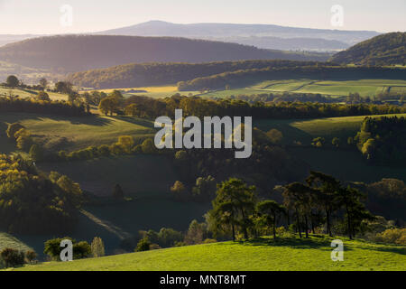 The view from Burrow Hill Camp, looking towards Titterstone Clee, Shropshire. Stock Photo