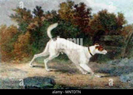 .  English: A painting of 'Pitch' owned by Colonel Thomas Thornton. . 1790.    Sawrey Gilpin  (1733–1807)     Description English painter, illustrator and etcher animals  Date of birth/death 30 October 1733 8 March 1807  Location of birth/death Carlisle Brompton  Authority control  : Q7428677 VIAF: 284478 ISNI: 0000 0000 6659 7365 ULAN: 500115480 LCCN: nr2001025477 WGA: GILPIN, Sawrey WorldCat 1008 Pitch by gilpin Stock Photo