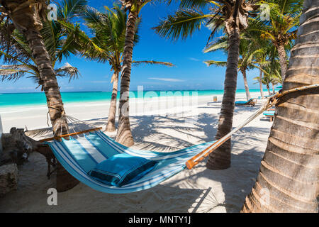 Perfect tropical beach with palm trees and hammock Stock Photo