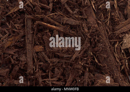 Tree bark and wood chips mulch used in horticulture closeup texture background Stock Photo