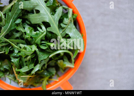 Fresh fragrant arugula in a colander on a neutral light background. Wash greens before eating or cooking. Closeup view. Stock Photo