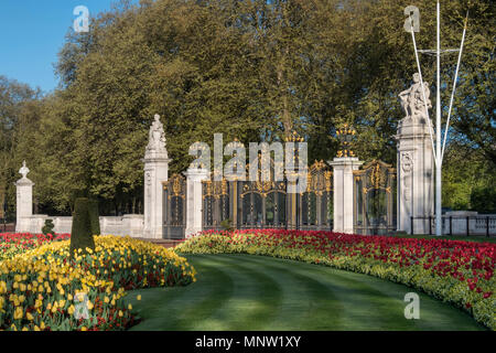 Canada Gate at the entrance to Green Park in spring, Buckingham Palace, London, England, UK Stock Photo