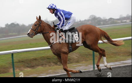 Jockey Paul Hanagan riding Miss Work of Art in the Premier Showfreight Yearling Bonus Scheme Maiden Stakes. Lingfield Park Race Track, Lingfield, England. 30 March 2011 Stock Photo