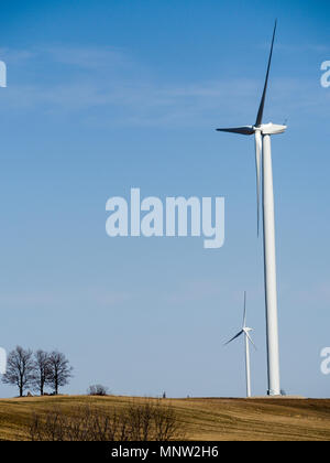 Three trees and two huge wind turbines on the top of a hill.: Wind generators dominate the rural landscape in this Southwestern Ontario community. Stock Photo