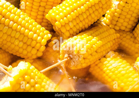 A lot boiled golden corn on the cob. Pierced on wooden sticks. Close-up. Stock Photo