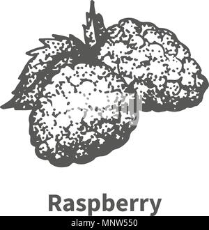 Vector illustration hand-drawn raspberry Stock Vector
