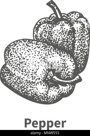 Vector illustration hand-drawn bell pepper Stock Vector