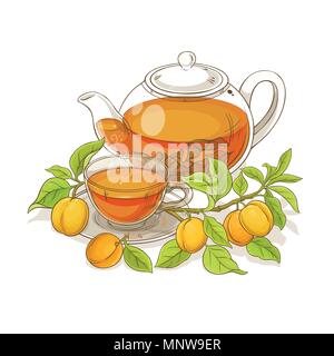 apricot tea vector  illustration on white backgrond Stock Vector