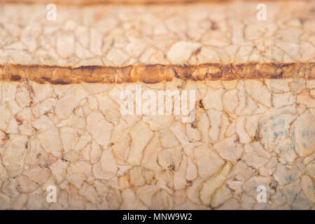 wine corks macro. extreme close up background Stock Photo