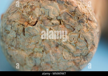 wine corks macro. extreme close up background Stock Photo