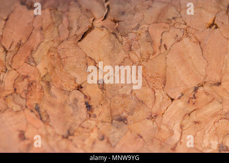 wine corks macro. extreme close up background Stock Photo