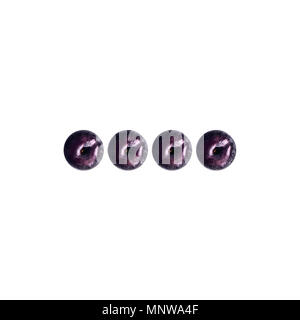 Plum Top view Photo mockup with four whole ripe plums on white background Design template with copy space Stock Photo