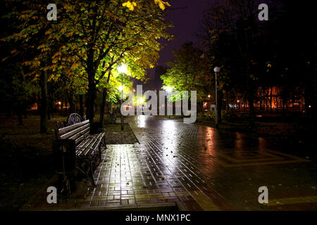 City Park in the evening after the rain. Stock Photo