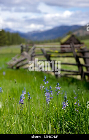 Lauderdale Junction, Washington / USA - May 9, 2018:  Abandoned homestead between Ellensburg and Leavenworth in Kittitas County Washington. Stock Photo