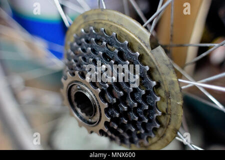 rear wheel of a high speed bicycle Stock Photo