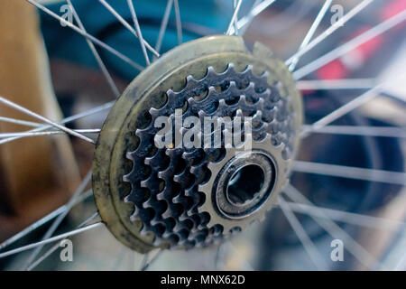 rear wheel of a high speed bicycle Stock Photo