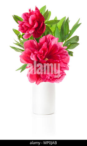 Peony flower in white vase isolated on white