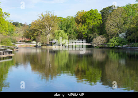 Bridges Over Lake in Pullen Park in Raleigh, North Carolina Stock Photo