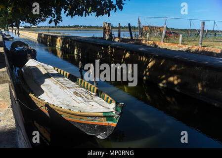 Small sailboats moored in the watercourse of El Palmar in the lagoon of Valencia (Albufera). Photo:Eduardo Manzana Stock Photo