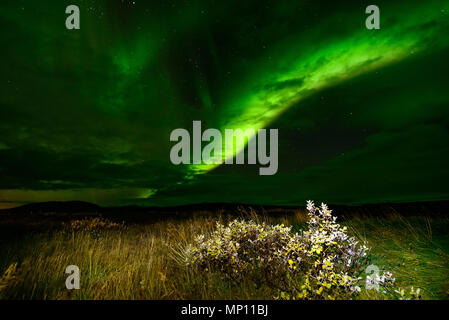 Amazing Northern Lights over the Iceland sky. The bright dancing lights of the Aurora Borealis. Green light in beautiful nightscape. Stock Photo