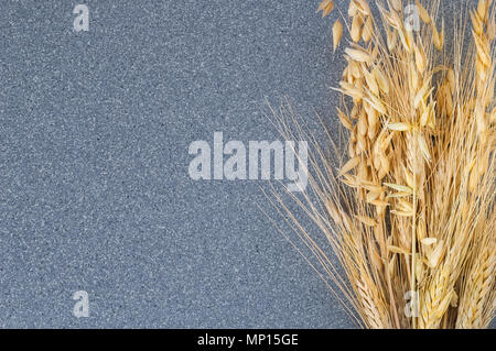 Brightly yellow ears of wheat and barley on the background of gray granite. Stock Photo